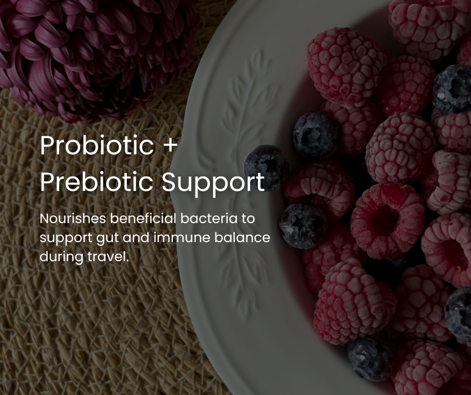 Travel Gut Hero's Pack