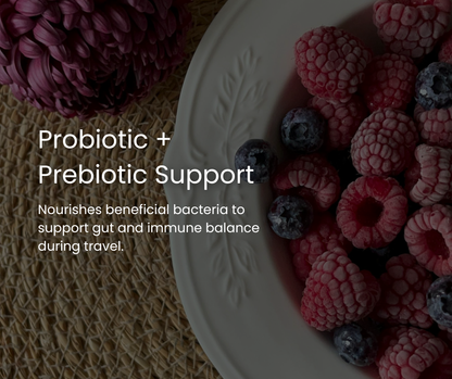 Travel Gut Hero's Pack