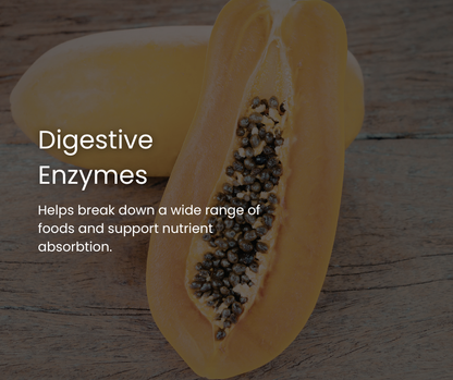 Travel Gut Hero's Pack