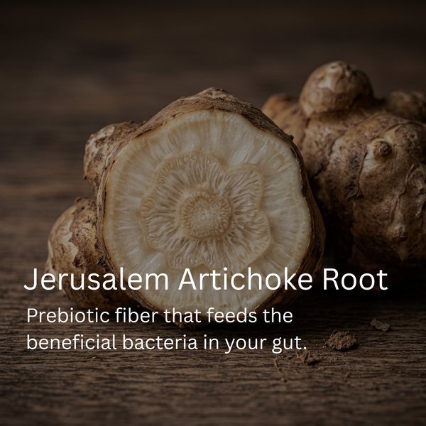 Inulin (Jerusalem Artichoke Root)